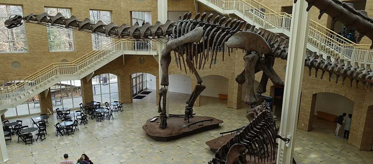 A cast of an Argentinosaurus skeleton